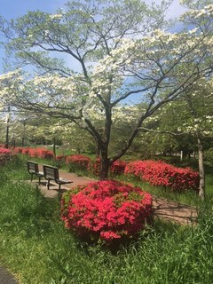 2017.4.27_6.jpg