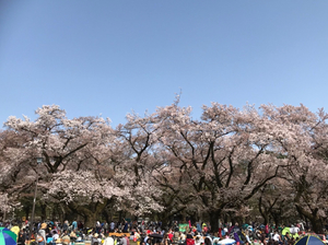 CA0519A7-8092-49BD-A4B8-836C404D3C7C.jpg